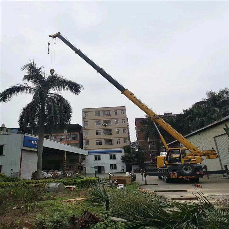 绥阳汽车吊出租多少钱？全面解析与市场行情